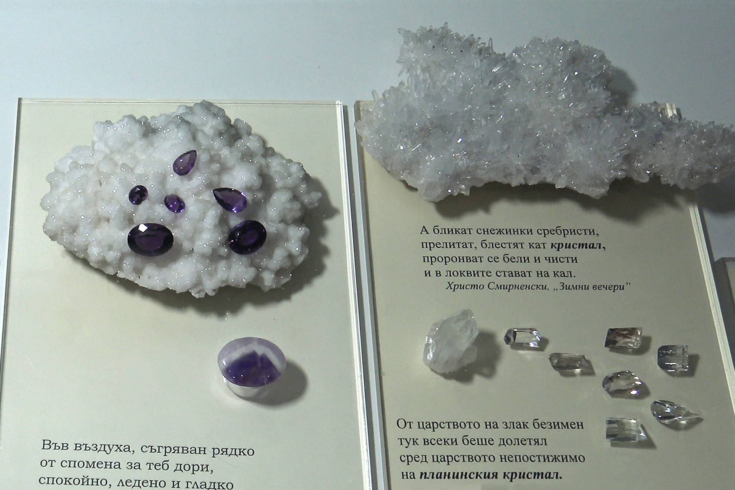 Изложба 